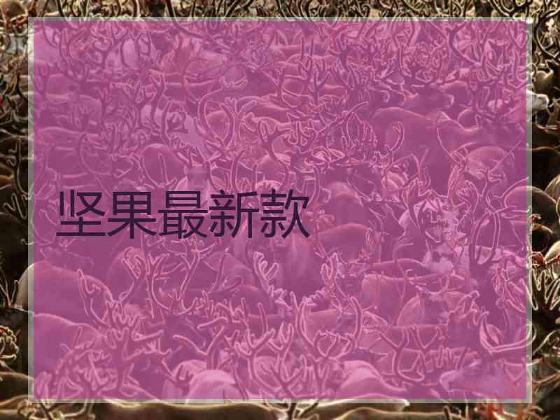 坚果最新款