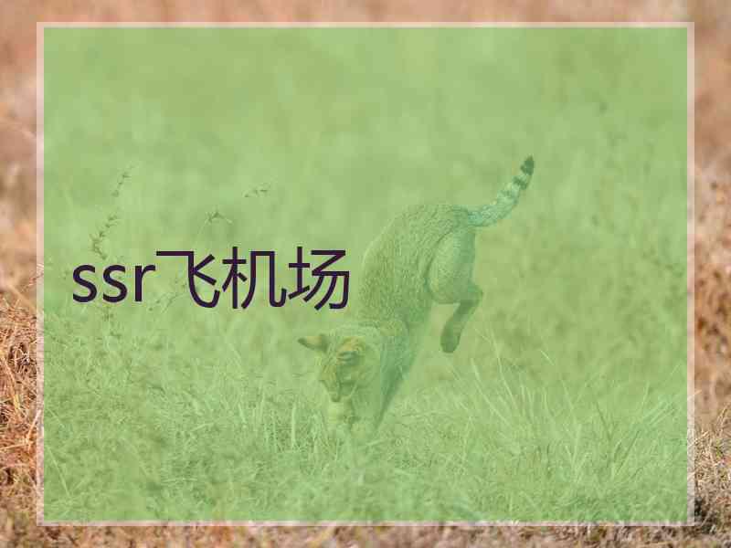 ssr飞机场