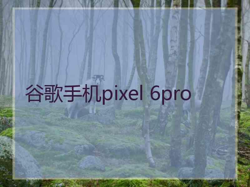谷歌手机pixel 6pro