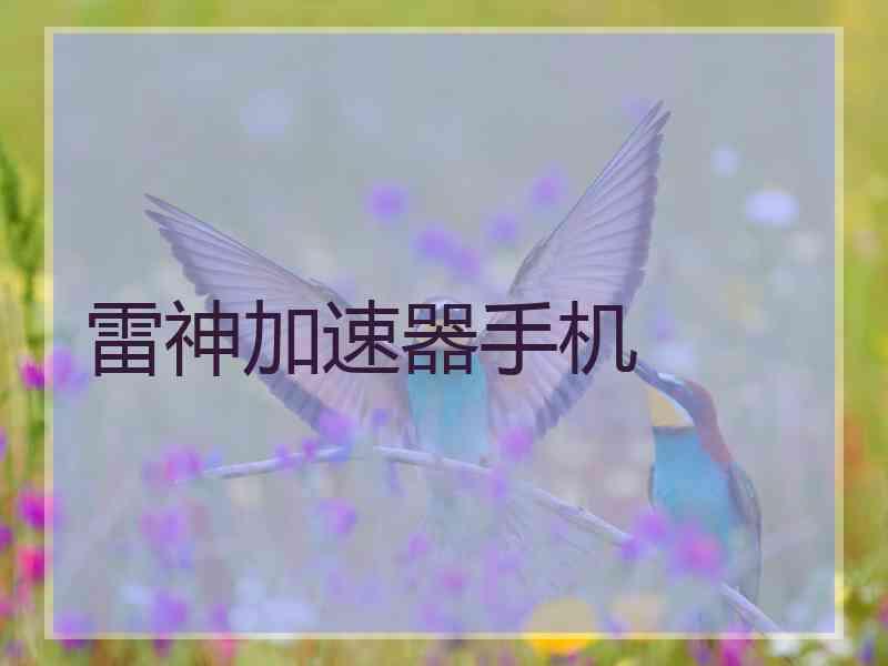 雷神加速器手机