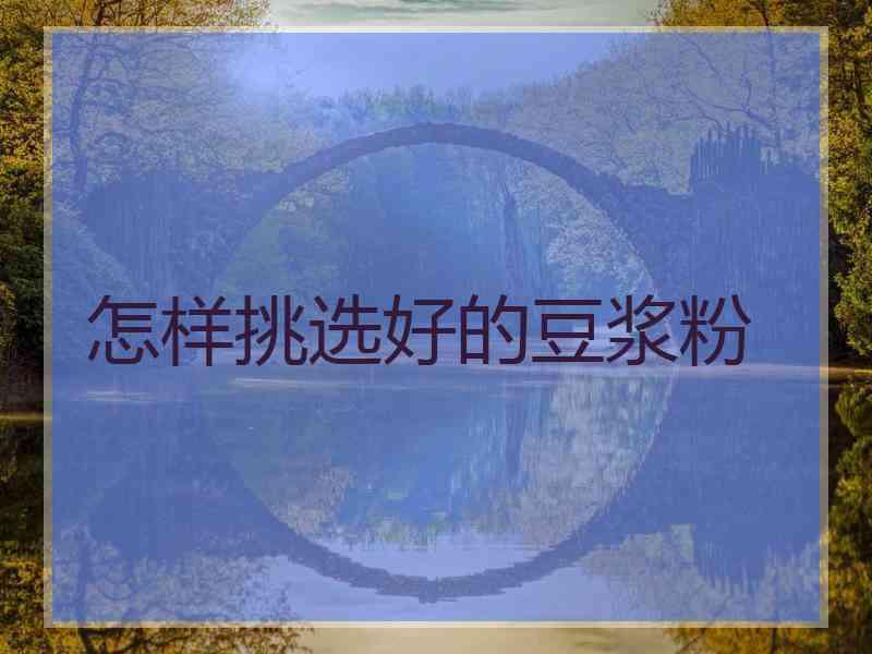 怎样挑选好的豆浆粉