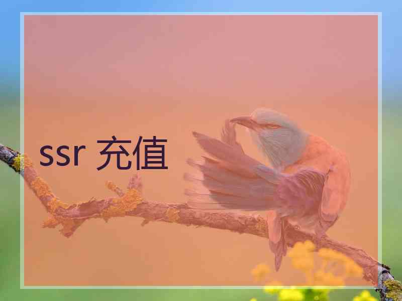 ssr 充值