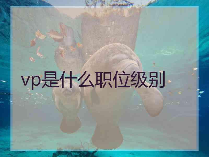 vp是什么职位级别
