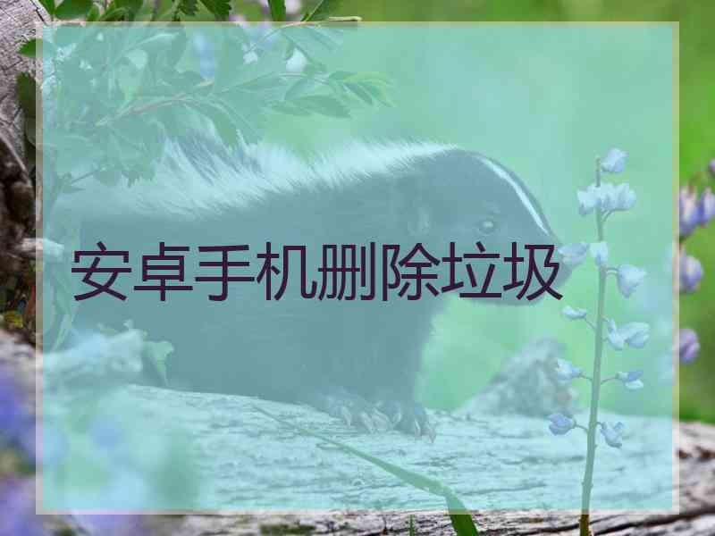 安卓手机删除垃圾