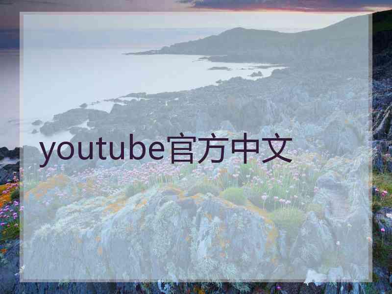 youtube官方中文
