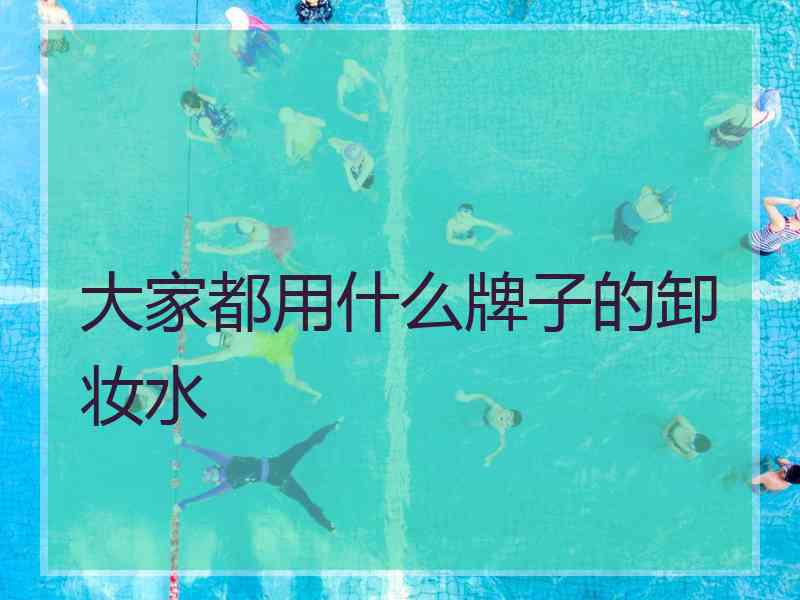 大家都用什么牌子的卸妆水