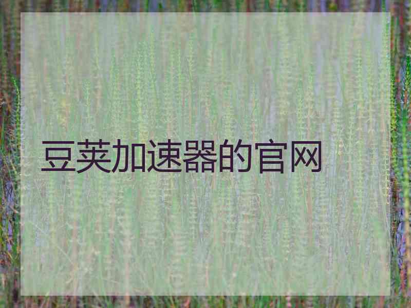 豆荚加速器的官网