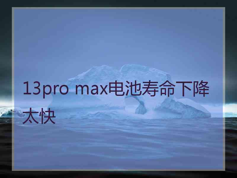 13pro max电池寿命下降太快