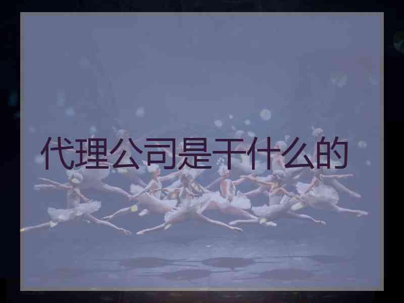 代理公司是干什么的