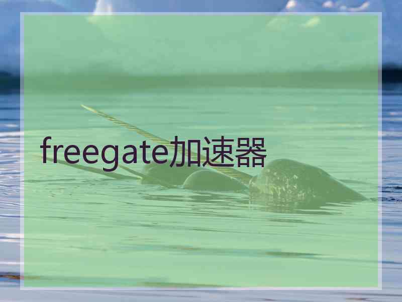 freegate加速器