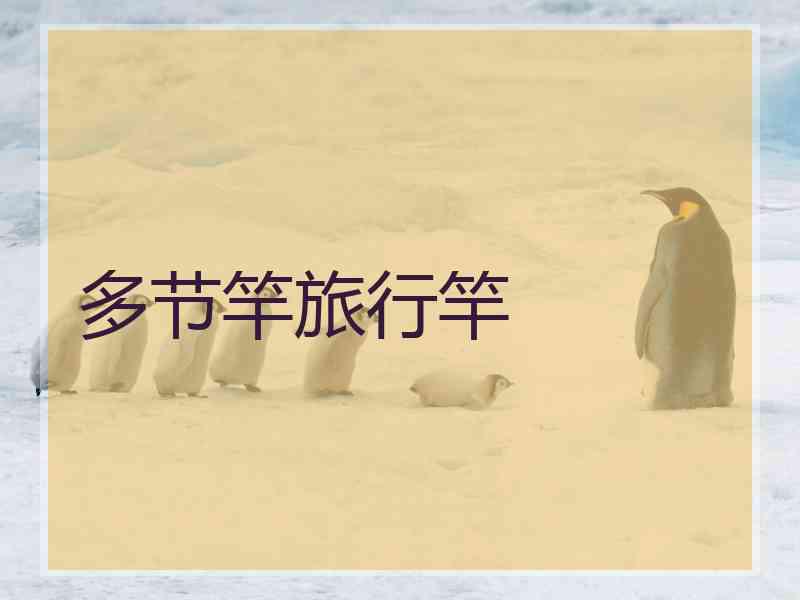 多节竿旅行竿