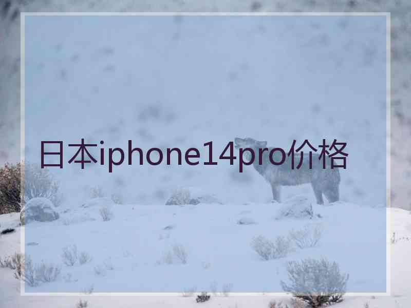 日本iphone14pro价格