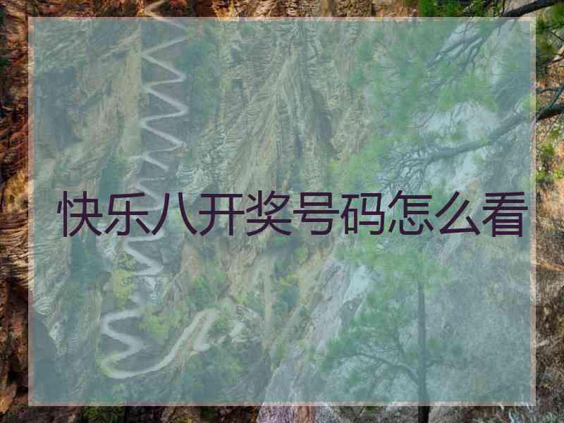 快乐八开奖号码怎么看