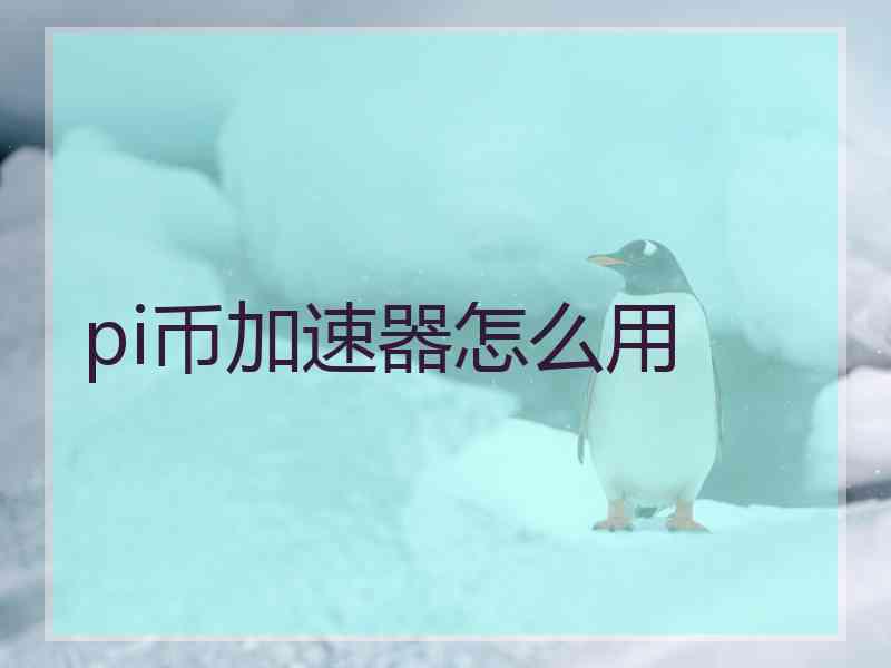 pi币加速器怎么用