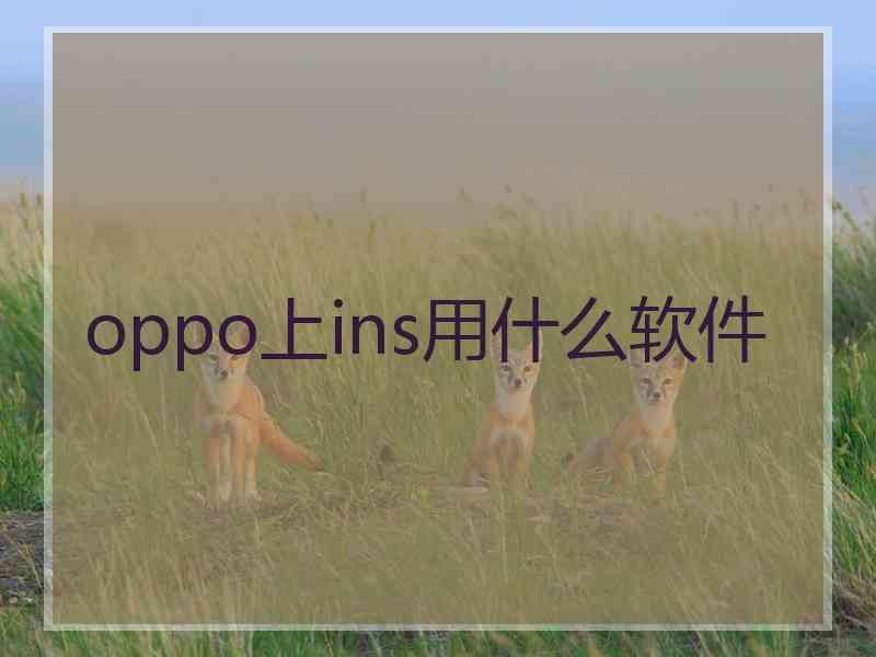 oppo上ins用什么软件