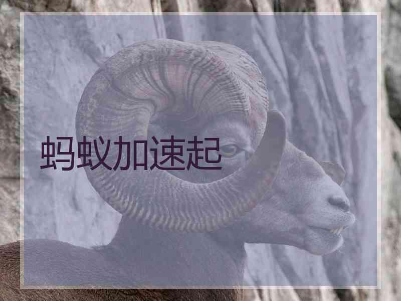 蚂蚁加速起
