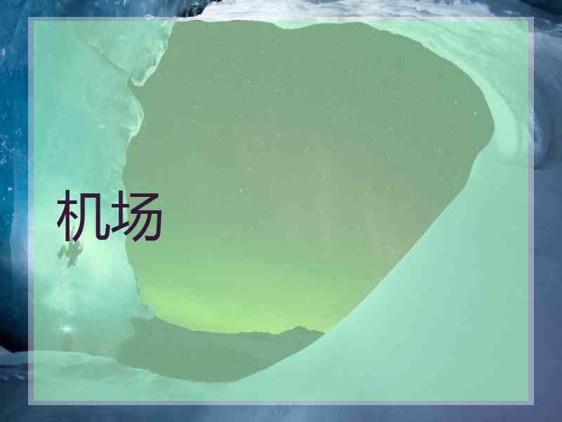 机场