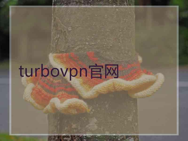 turbovpn官网