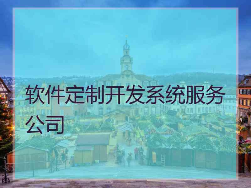 软件定制开发系统服务公司