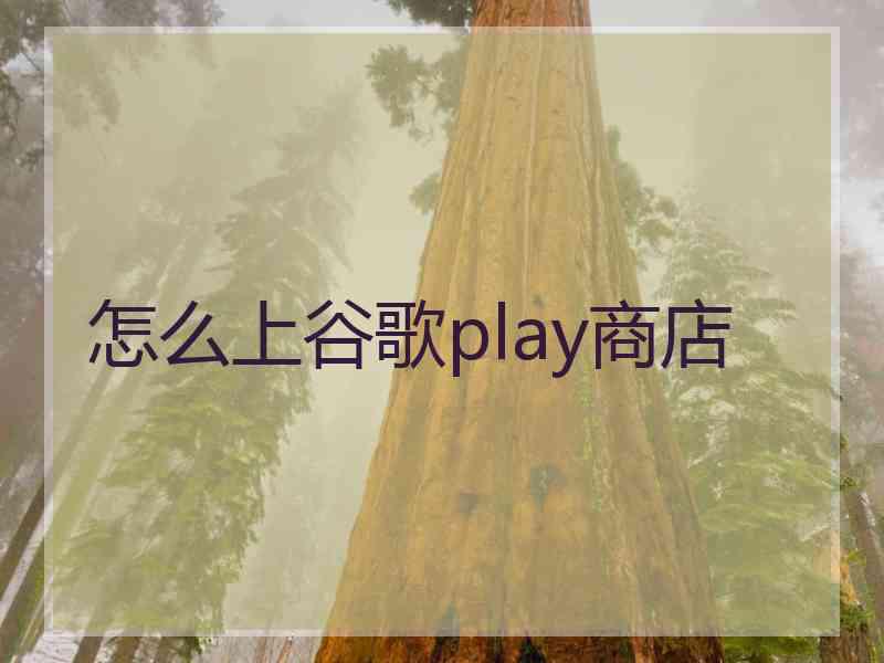 怎么上谷歌play商店