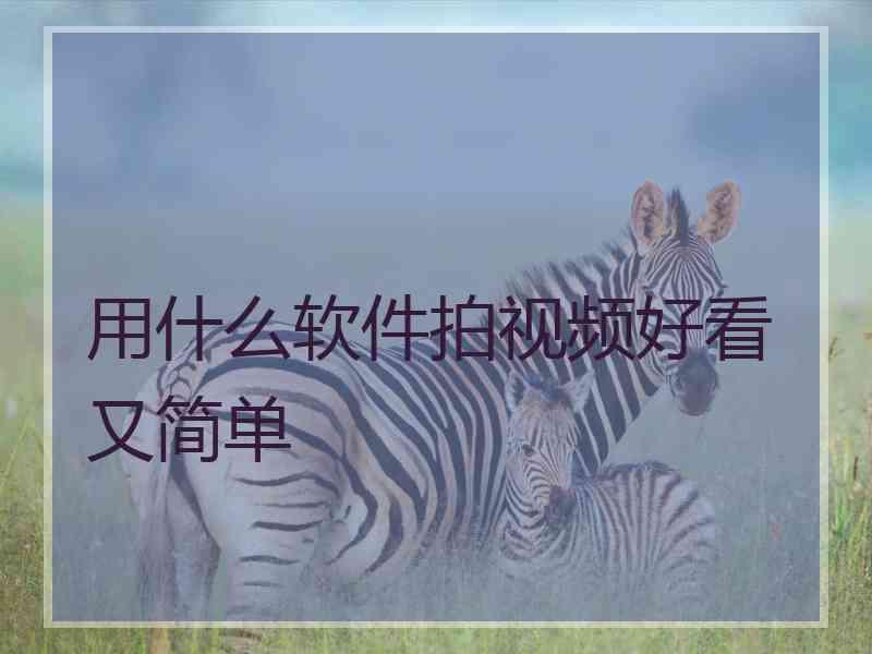 用什么软件拍视频好看又简单