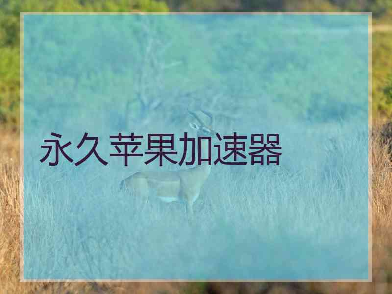 永久苹果加速器