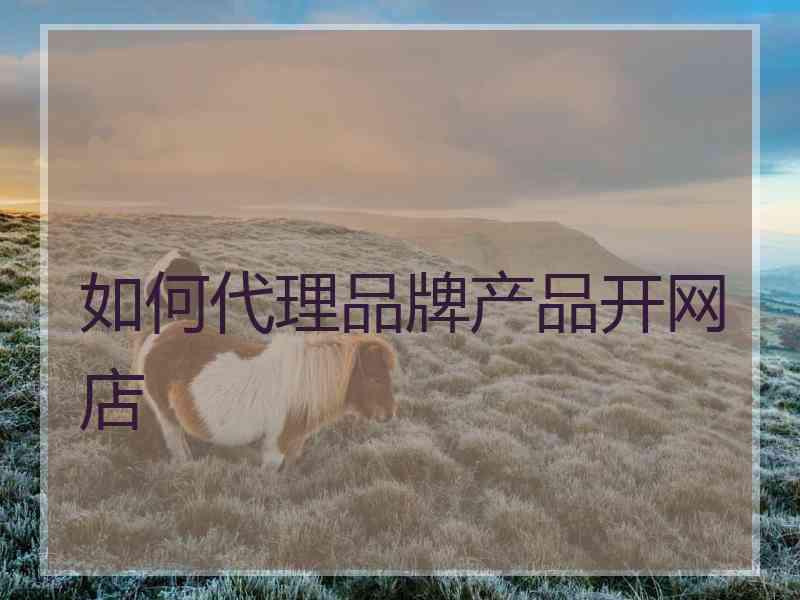 如何代理品牌产品开网店