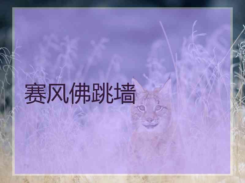 赛风佛跳墙