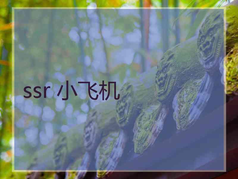 ssr 小飞机