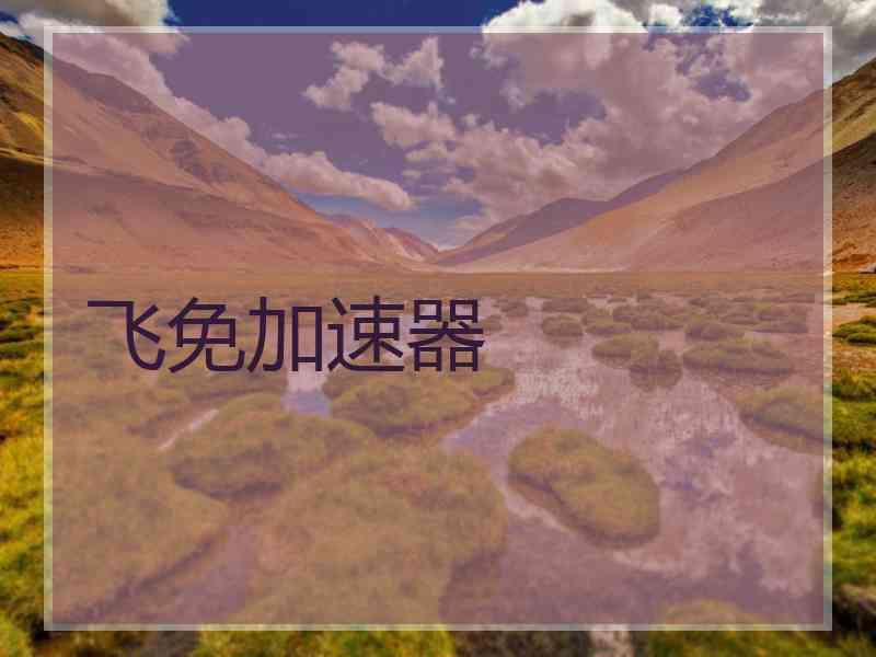飞免加速器