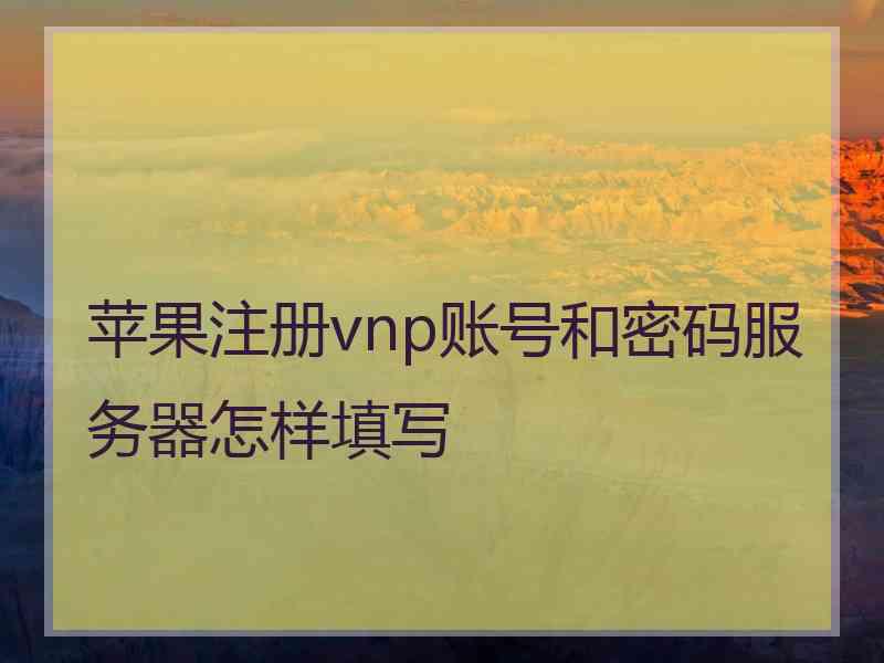 苹果注册vnp账号和密码服务器怎样填写