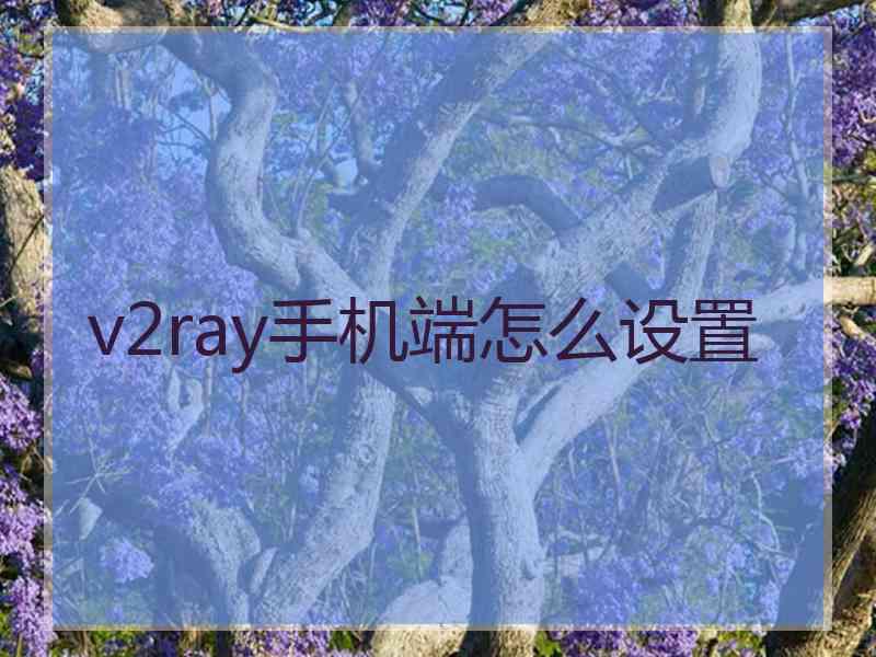 v2ray手机端怎么设置