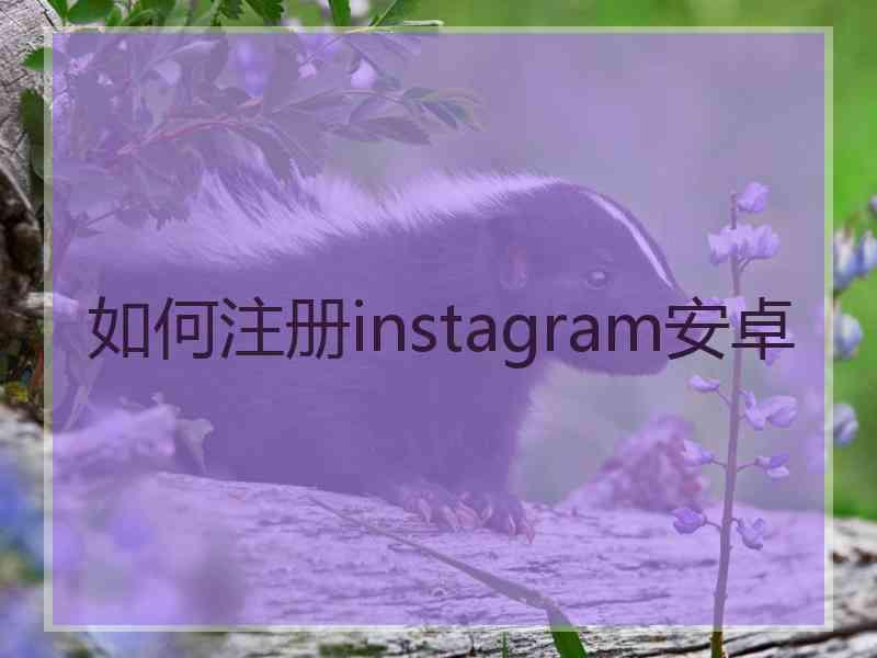 如何注册instagram安卓