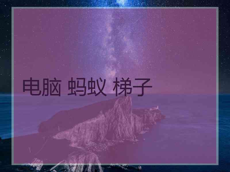 电脑 蚂蚁 梯子