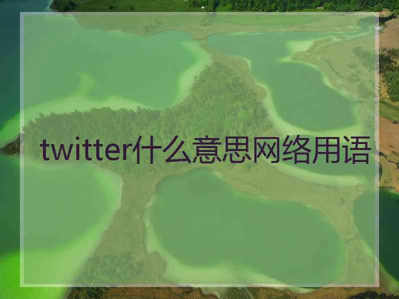 twitter什么意思网络用语