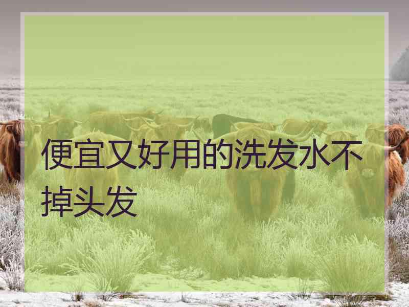 便宜又好用的洗发水不掉头发