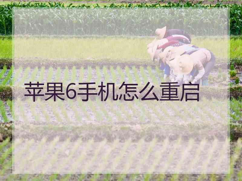 苹果6手机怎么重启