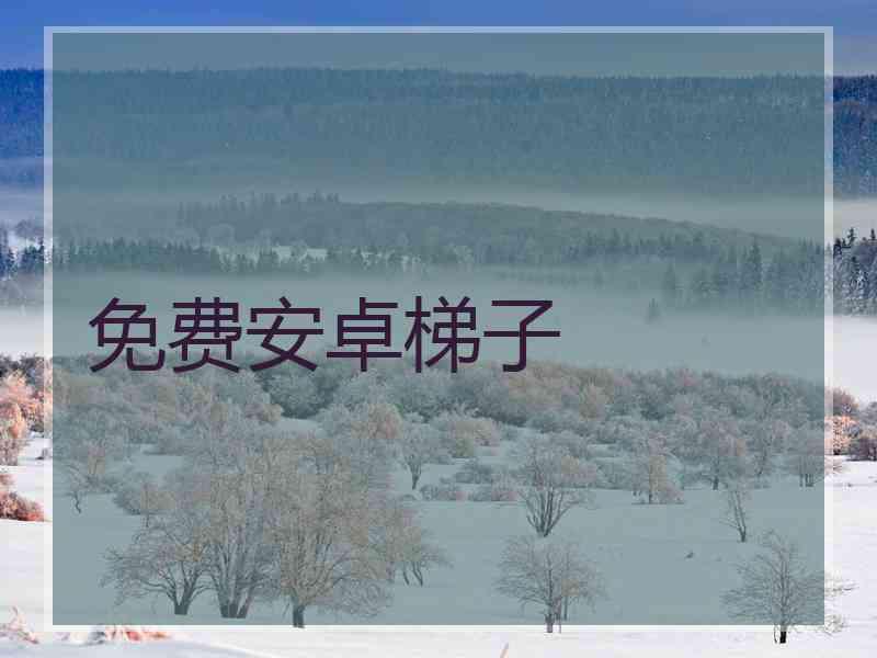 免费安卓梯子