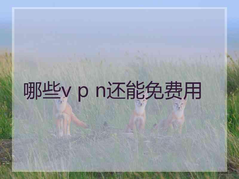 哪些v p n还能免费用