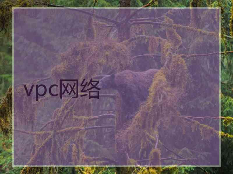 vpc网络