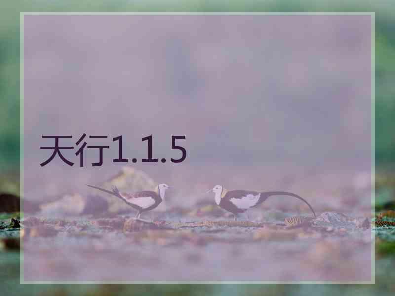 天行1.1.5