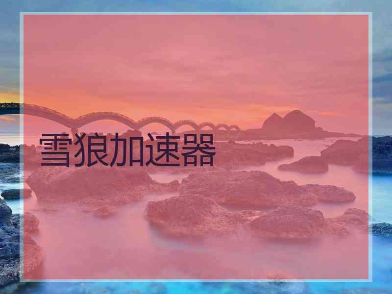 雪狼加速器