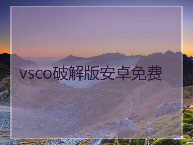 vsco破解版安卓免费