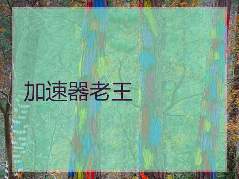 加速器老王