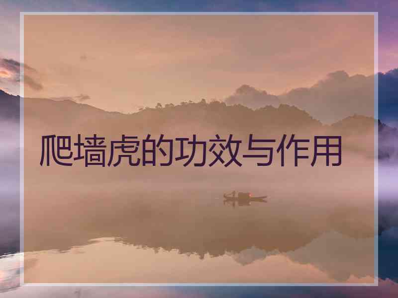 爬墙虎的功效与作用