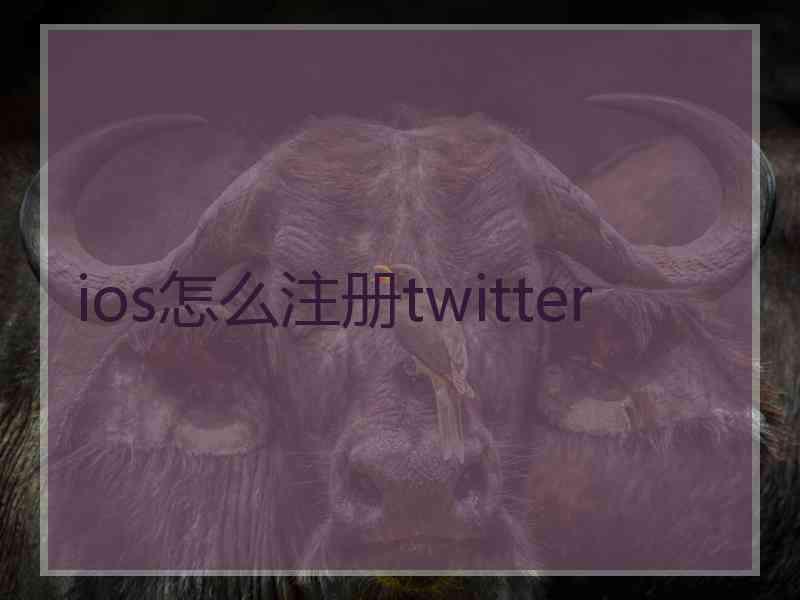 ios怎么注册twitter