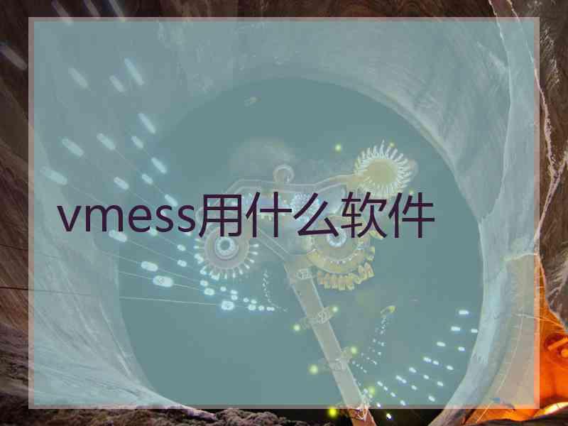 vmess用什么软件