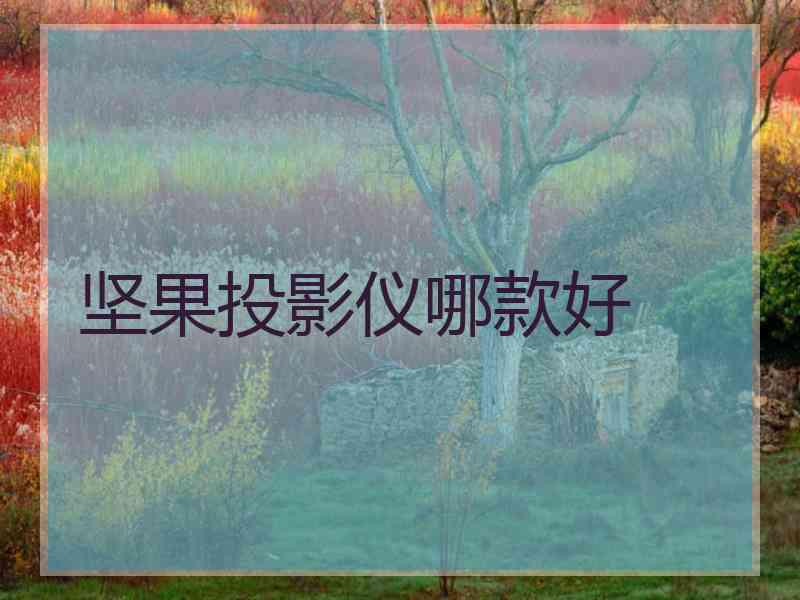 坚果投影仪哪款好