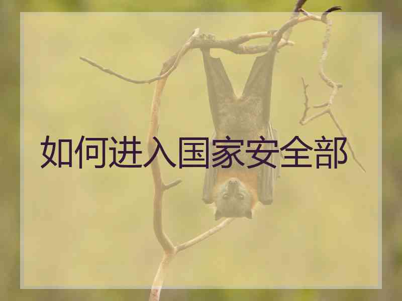 如何进入国家安全部