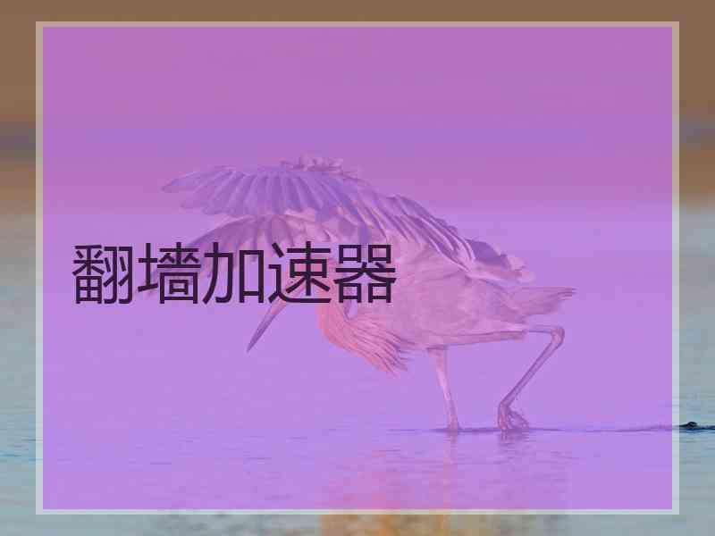 翻墻加速器